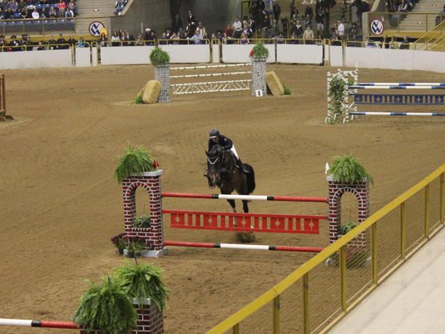 National Western Stock Show brings in more than 700,000