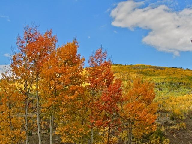 10 must-see Colorado fall festivals happening in 2017