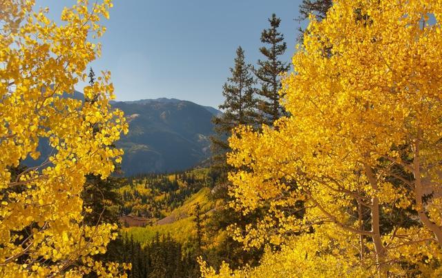 GALLERY: Spectacular places to see fall color in Colorado