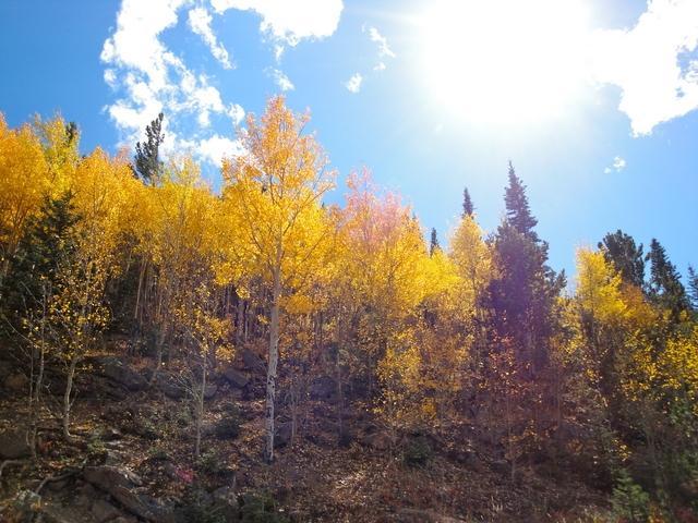 GALLERY: Spectacular places to see fall color in Colorado