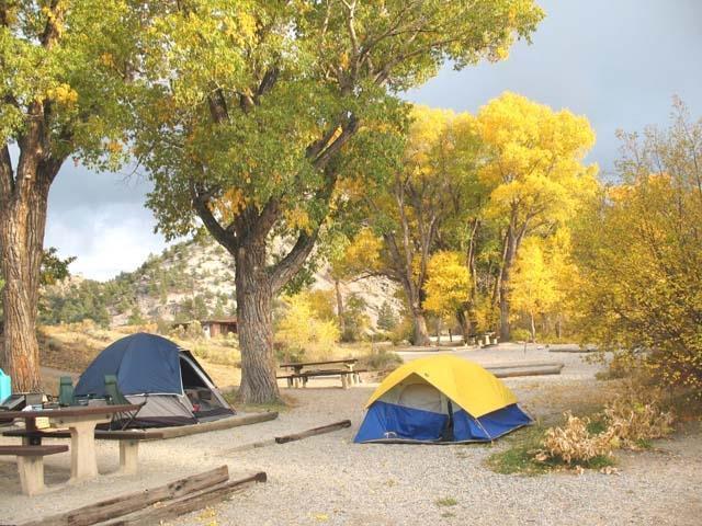 Planning to camp this summer? You should book a site now