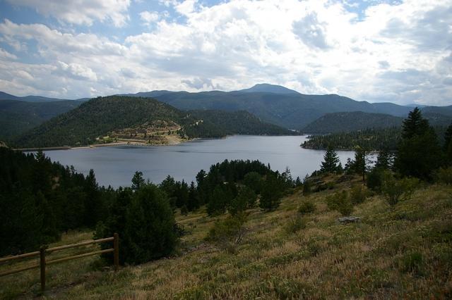 Colorado could lose 650,000 trees in reservoir expansion