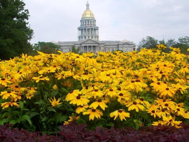 Colorado boosts savings to $730 million, may need more