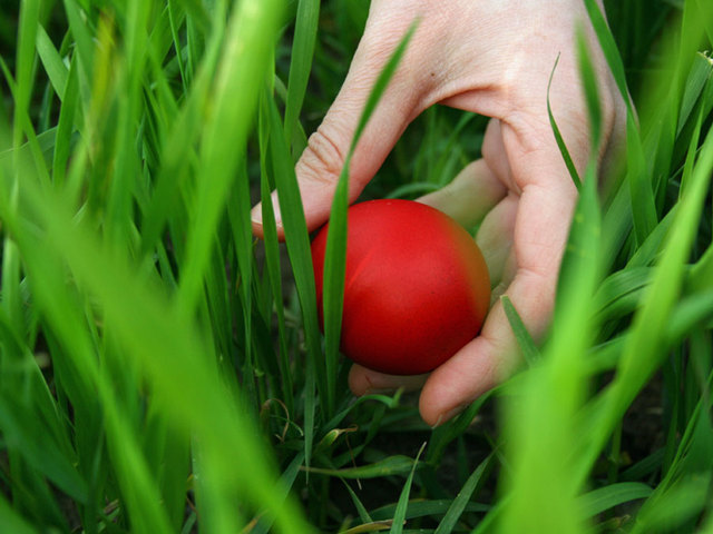 13 Easter events in Colorado you can enjoy with the whole family