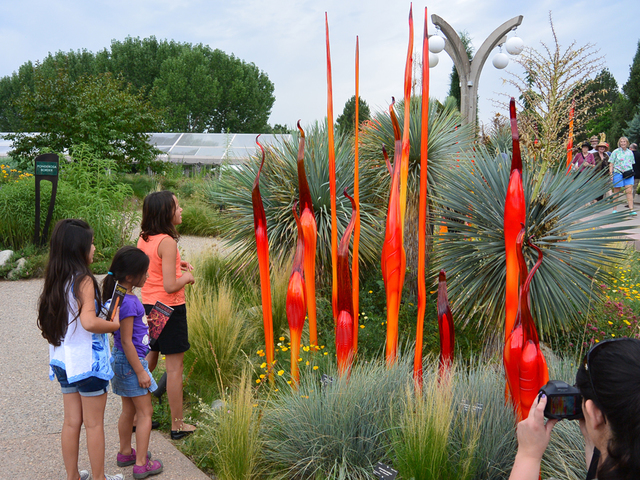 Auditor calls on Denver Botanic Gardens to improve safety, security