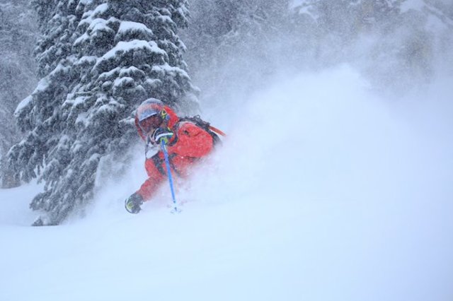 Attention backcountry skiers: Scientists want your help