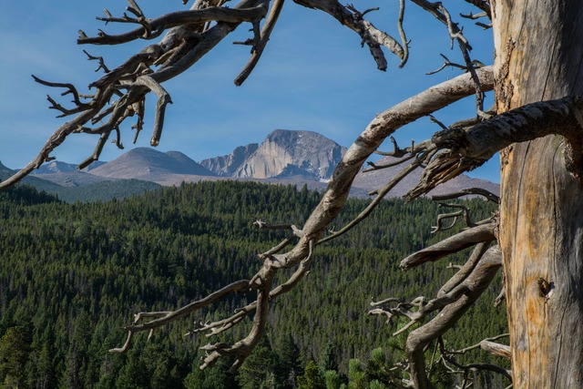 7 best things to do in Colorado this weekend: April 22-24, 2022 - Vimarsana News