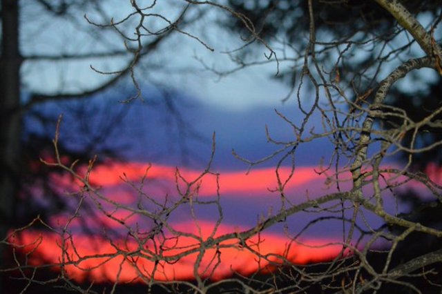 Utah lawmaker pulls bill proposing sale of nearly 94,000 acres of Colorado land