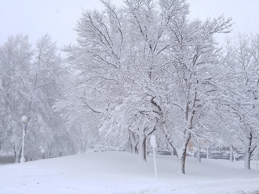 Denver spring snow storm: When does the snow normally stop ...