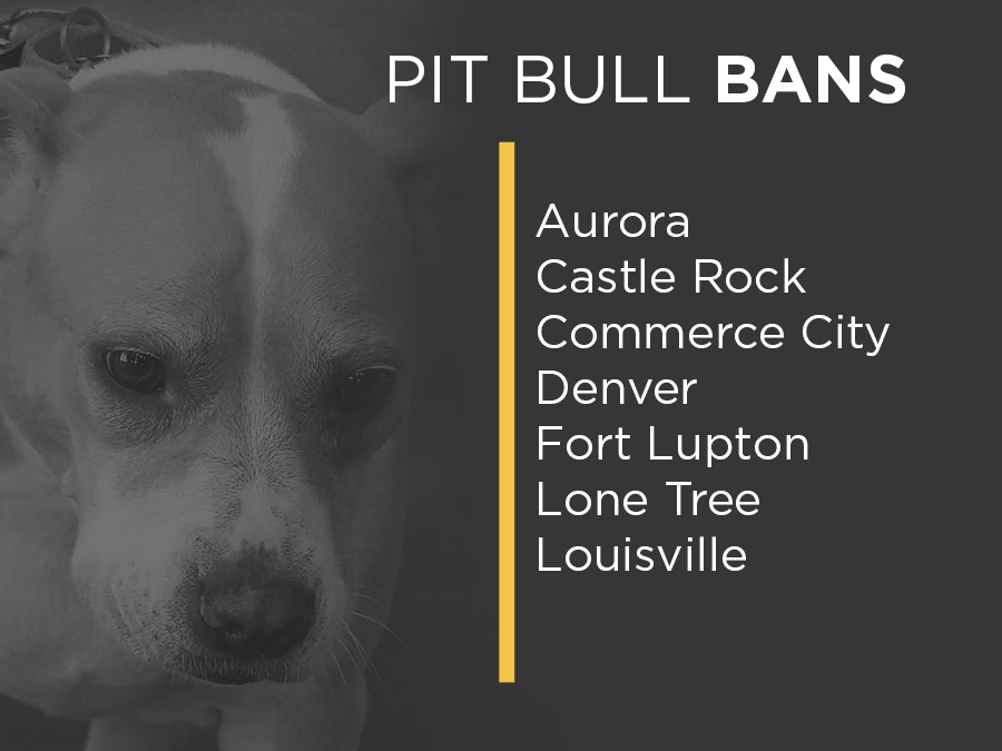 are pit bulls legal in colorado