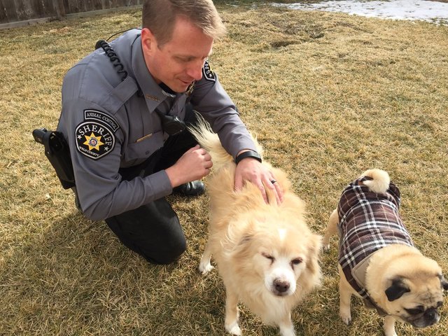 Blind Blue Heeler Adopted By Animal Control Officer Who Rescued Dog Copyright 2017 Scripps Media Inc All Rights Reserved This Material May Not Be Published Broadcast Rewritten Or Redistributed