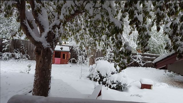 Spring snowstorm turns Denver metro into winter all over again