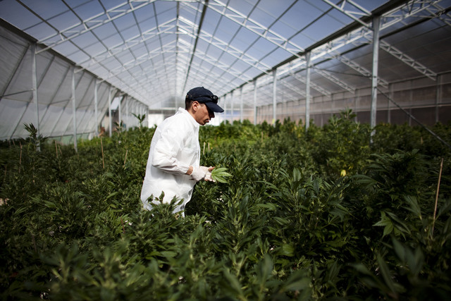 7 fast-growing industries that are defining Colorado's economy