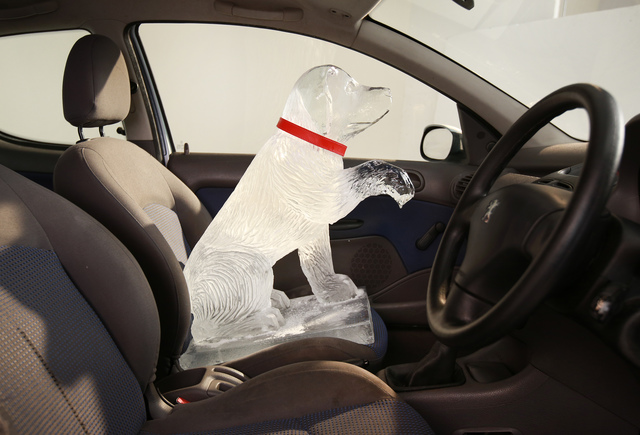 Before you break into a hot car to help a kid or dog, read this
