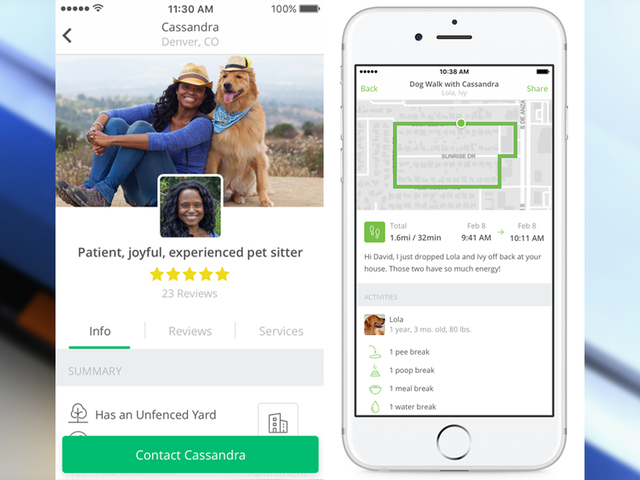 Wag Dog Walking For Rover Wag Rover Dog Boarding Review Becoming A