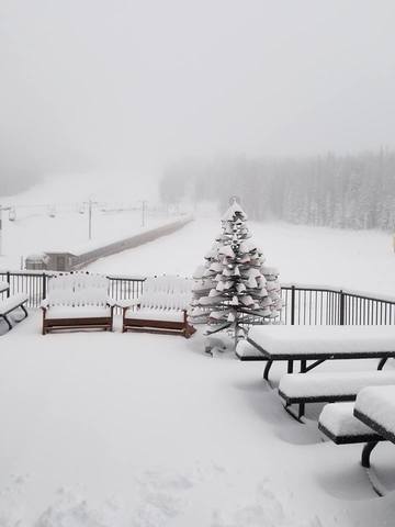 PHOTOS: Colorado September snow