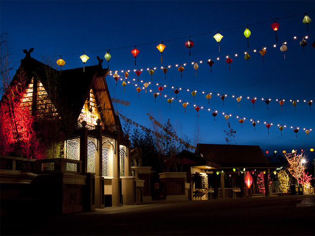 GALLERY: Discover the magic of Zoo Lights at the Denver Zoo!