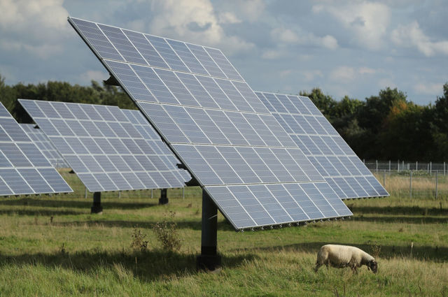Trump hits solar panels, washing machines with tariffs