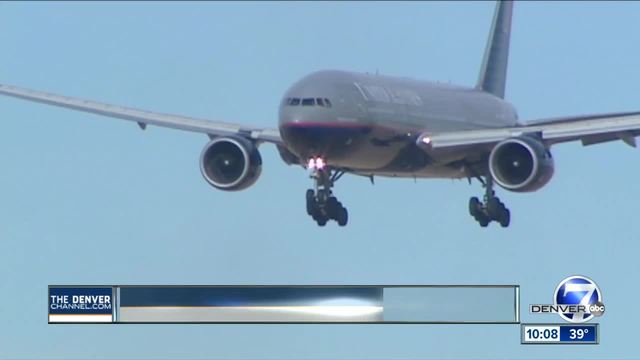 United Airlines suspends program for pets flying in cargo compartments