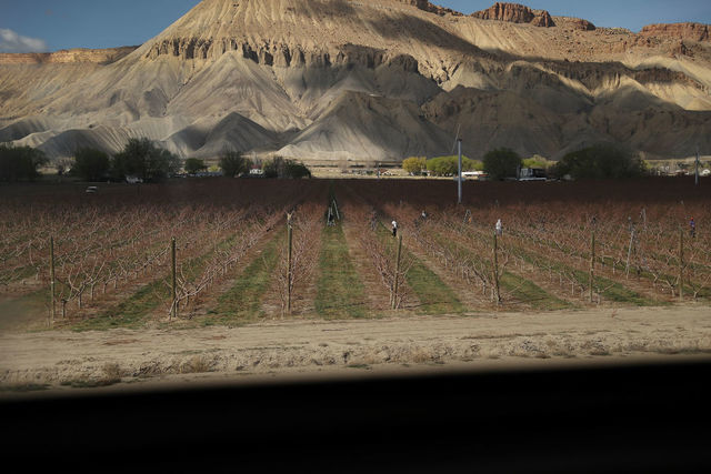 Tipton, Bennet pleased after Interior Dept. affirms commitment to move BLM headquarters to West