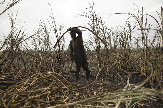 AP Fact Check: Trump's claim on South African farms off mark