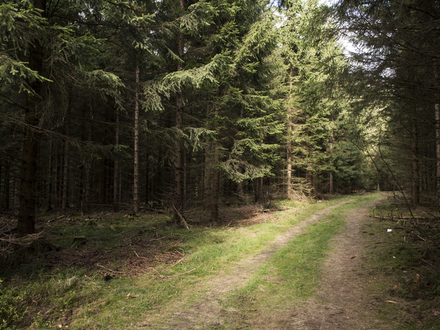 Westminster hunter dies in White River National Forest after ATV crashes into tree