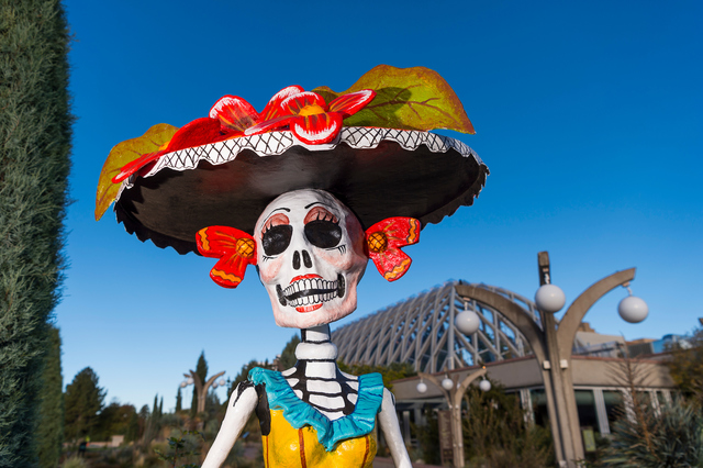 Dia de los Muertos